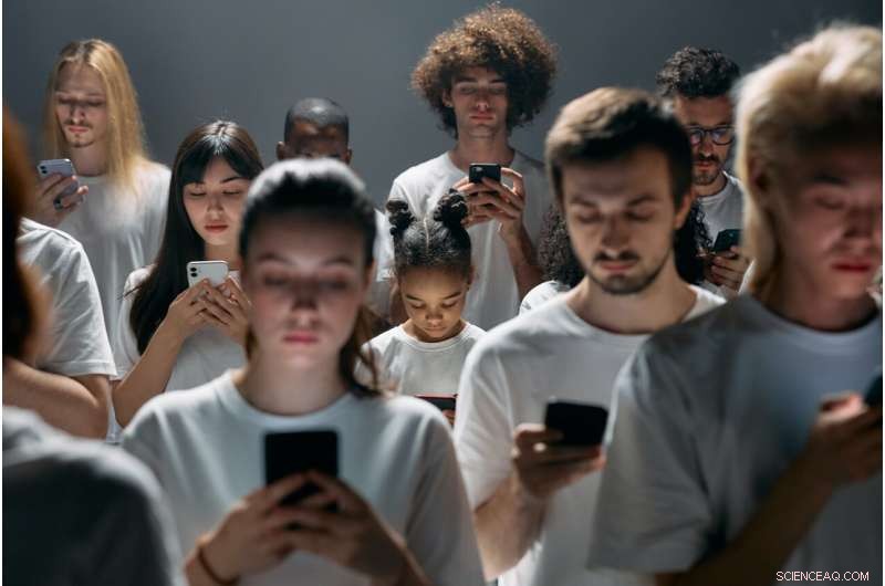 Swedish Twitter on Immigration: Insights into Polarization - Linnaeus University