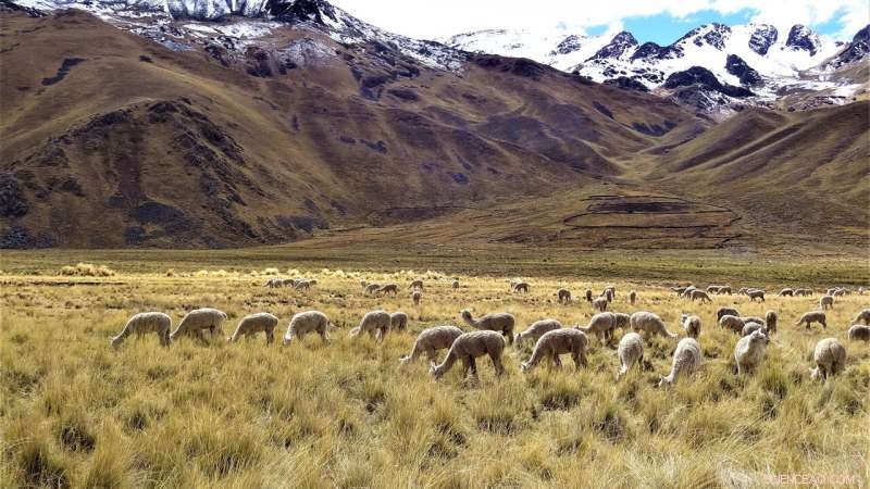 Climate Change and Dietary Shifts: 7,000 Years of Human Food History