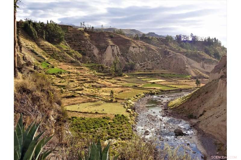 Climate Change and Dietary Shifts: 7,000 Years of Human Food History