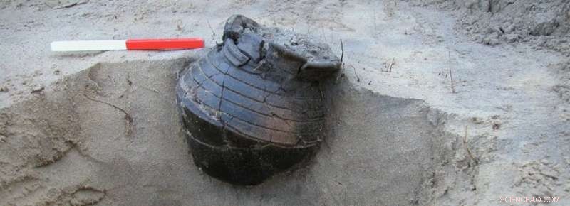 AI-Powered Search Revolutionizes Archaeological Research