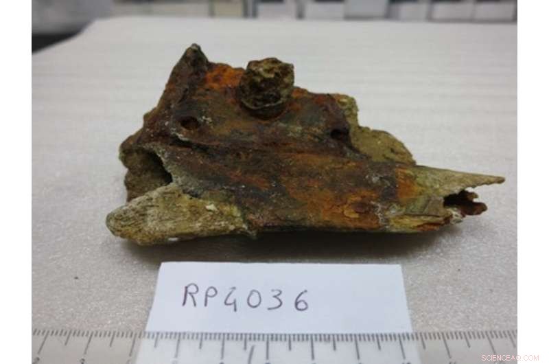 Forensic Science: Unlocking Criminal Mysteries with Ancient Bones