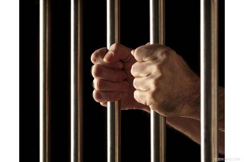 The Role of Emotion in Criminal Justice: Impact on Punishment Decisions