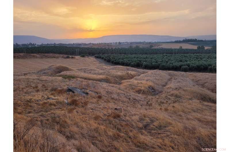 Ancient Human Vertebra in Jordan Valley Reveals Early Migration from Africa