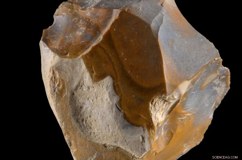 Ancient Human Vertebra in Jordan Valley Reveals Early Migration from Africa