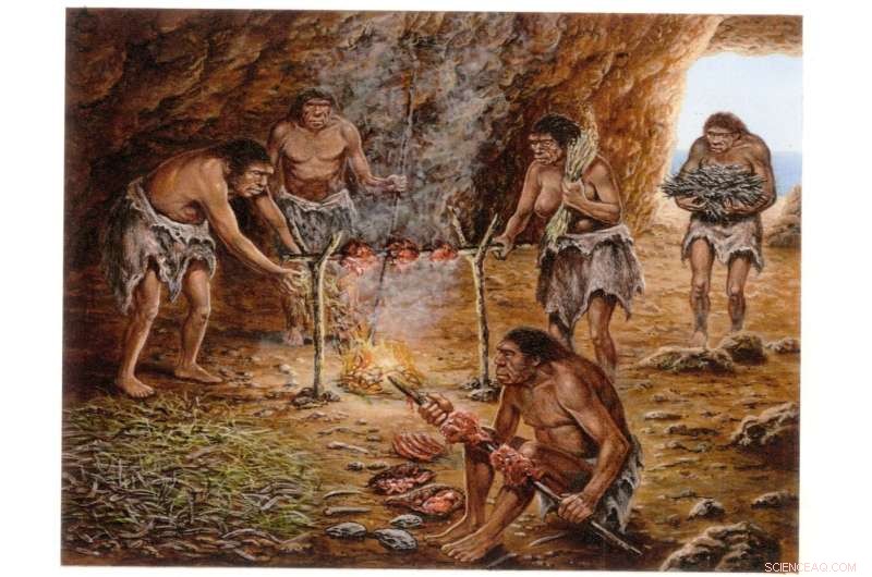 Hearth Placement in Caves: Insights from Early Human Archaeology
