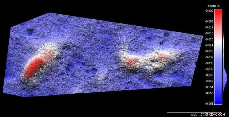 Ancient Footprints in South Africa: A Geological Discovery