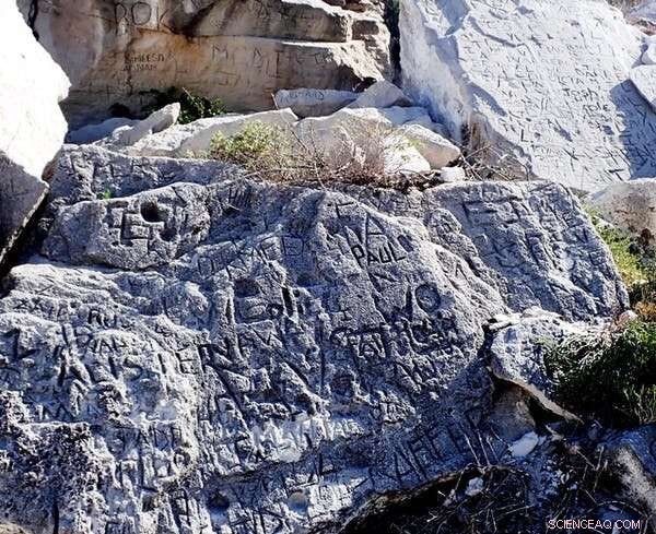 Ancient Footprints in South Africa: A Geological Discovery