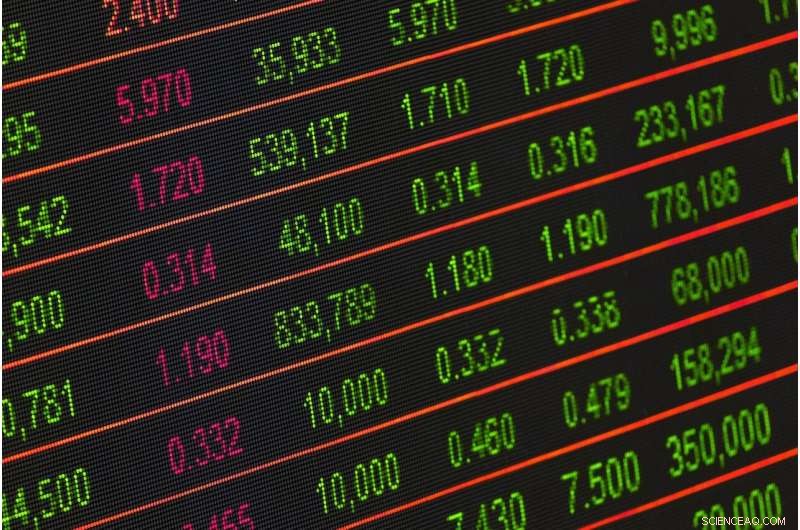 Underwriter-IPO Firm Relationships in Emerging Markets: A Study