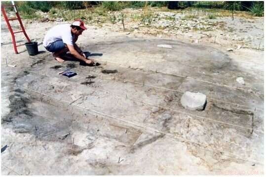 Ancient Life at the Sea of Galilee: Ice Age Discoveries Reveal Thriving Communities