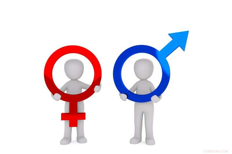 Global Study Reveals Persistent Sex Differences in Adolescent Career Aspirations