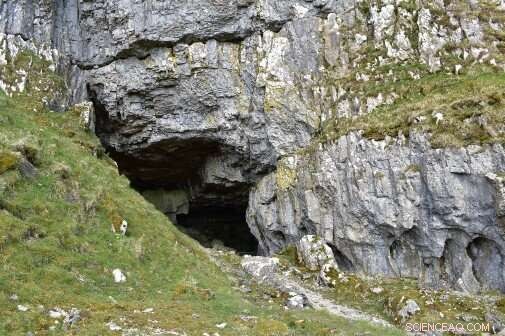 Exploring Ancestral Sounds: Research Project Uncovers Connections to the Spirit World