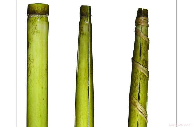 5,000-Year-Old Drinking Straws Unearthed: A Glimpse into Bronze Age Rituals