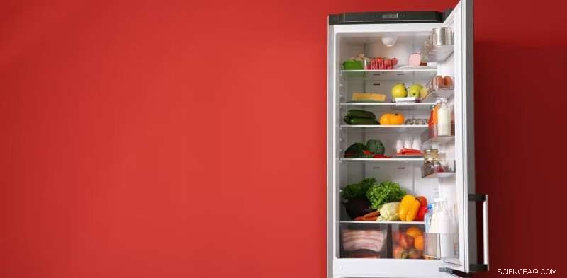 Community Fridges: Exploring Mutual Aid and Social Impact in the UK