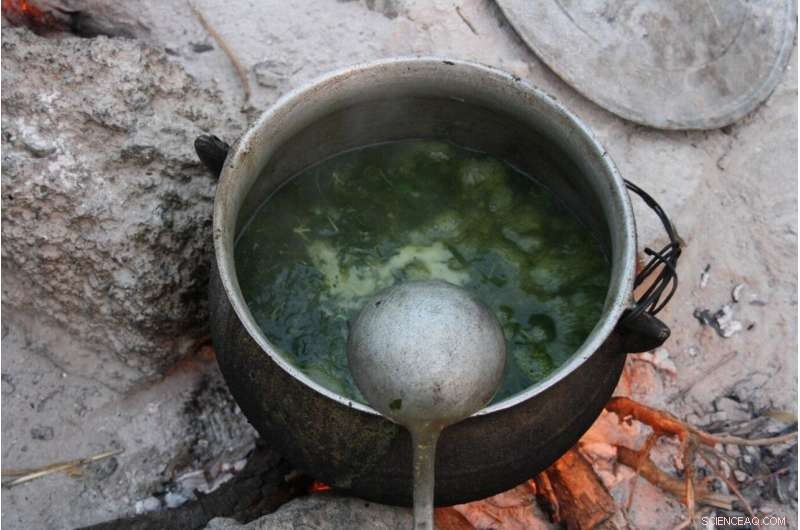 Ancient Origins of West African Cuisine: 3,500-Year-Old Discovery