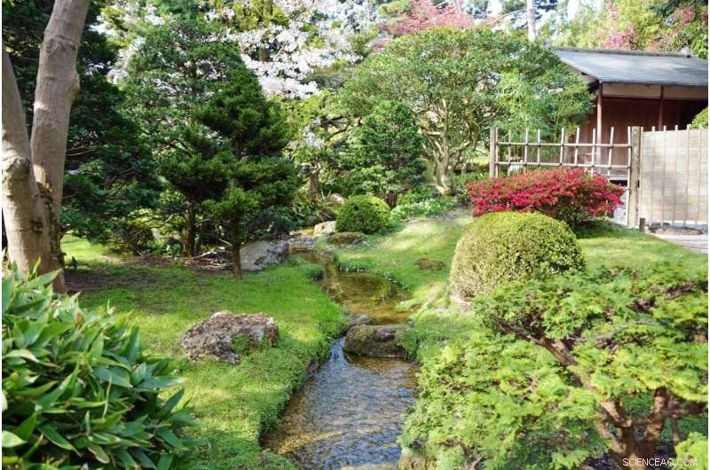 Stream Restoration: Boost Your Home s Value – New Research