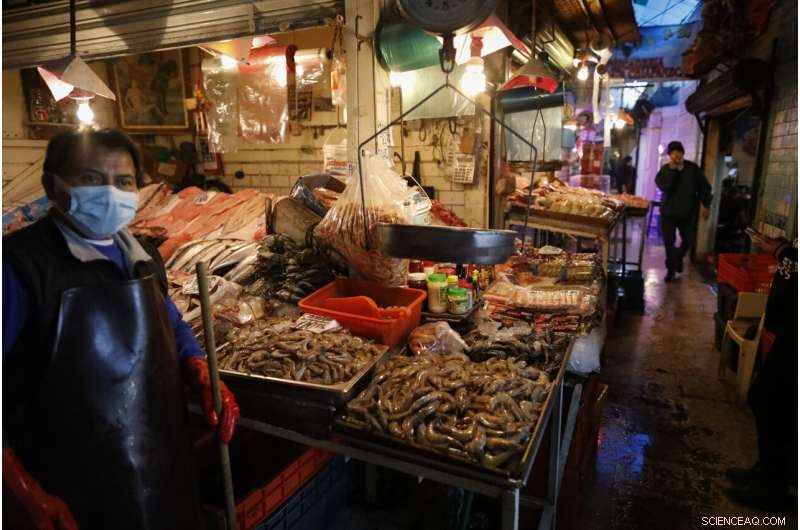 UN Report: Global Economic Growth Forecasts Downgraded for 2022-2023