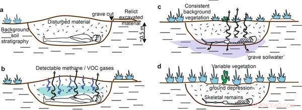 Forensic Science Advances in Latin America s Missing Persons Cases