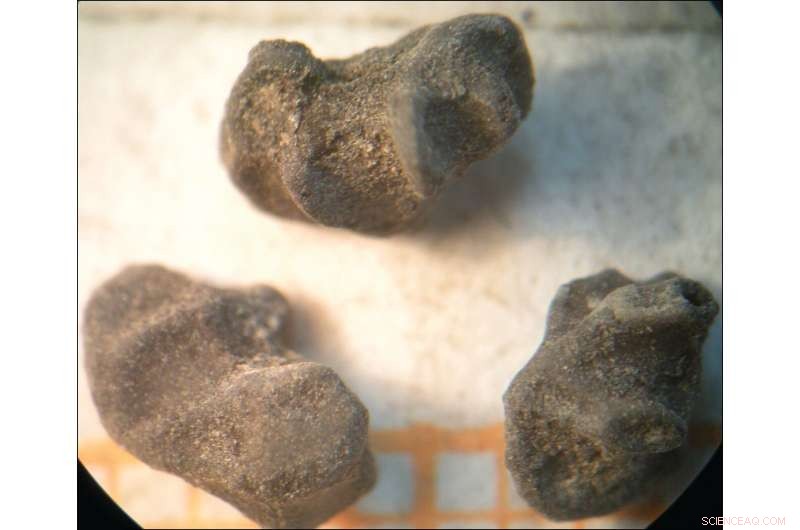 Wari Elites and Psychoactive Substances: Evidence of Drug Use for Political Power