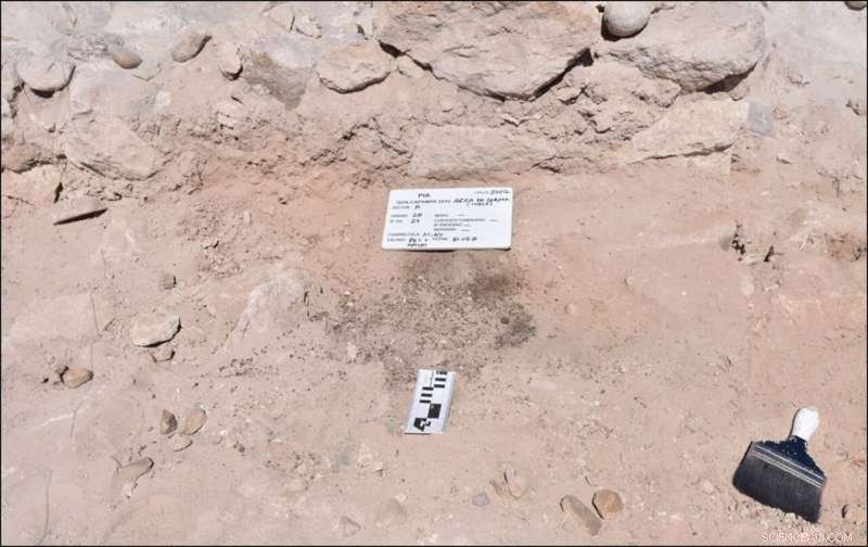 Wari Elites and Psychoactive Substances: Evidence of Drug Use for Political Power