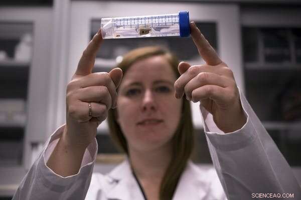 Teenage Troubles Through Time: What Skeletal Remains Reveal