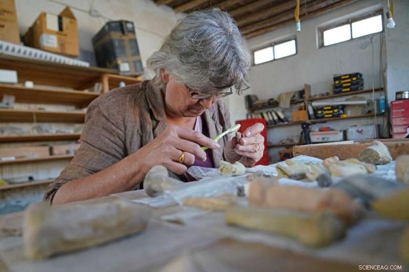 European Archaeologists Return to Iraq to Uncover Ancient Treasures