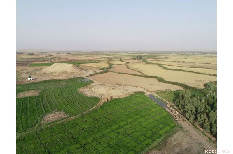 Ancient Iraq Farming Revolution: New Discovery Rewrites History