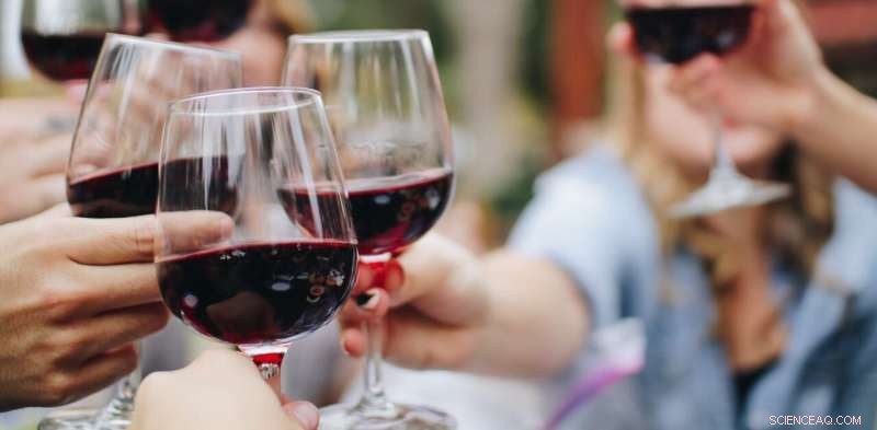 Wine Tasting 101: A Beginner s Guide to Appearance, Aroma & Flavor