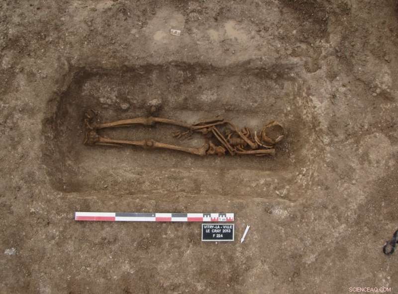 Debunking Grave Robbery Myths: New Insights into Ancient European Burial Practices