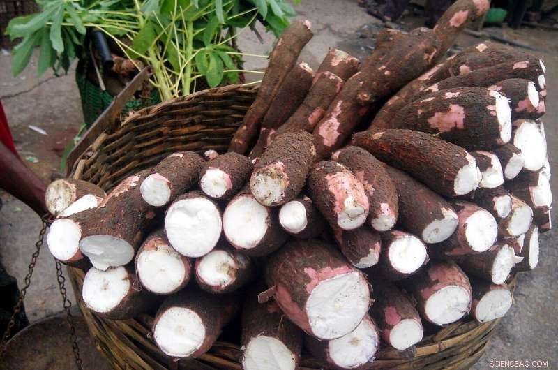 Ancient Maya s Drought Resilience: Lessons for Today