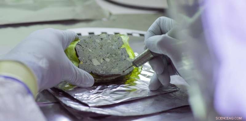 Unlocking the Past: Ancient DNA Reveals New Insights from Soil