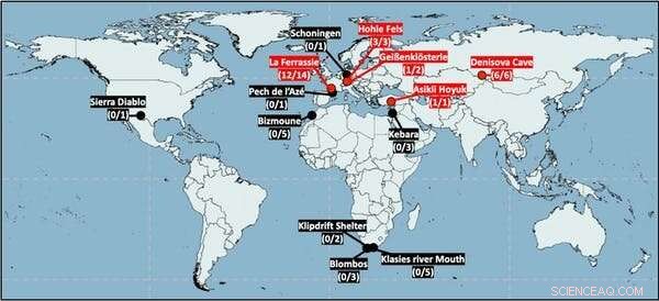 Unlocking the Past: Ancient DNA Reveals New Insights from Soil