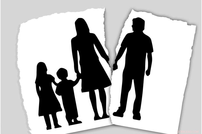 Bridging Generational Divides: Understanding Parent-Child Estrangement
