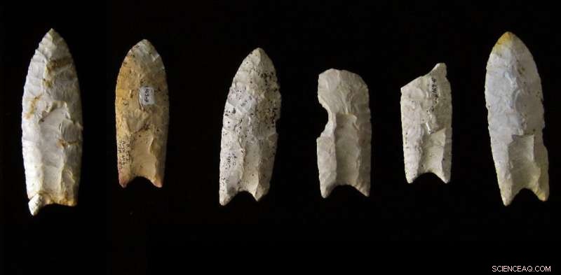The Clovis Culture: How Early Humans Sparked Technological Advancement