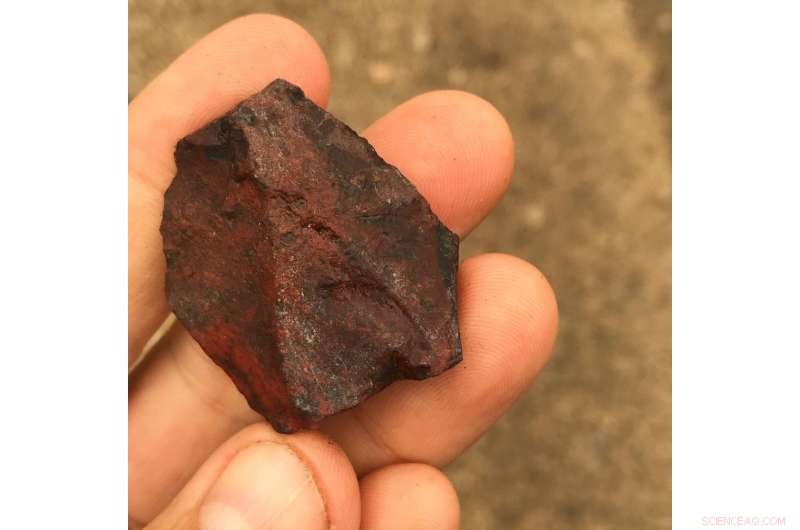 The Clovis Culture: How Early Humans Sparked Technological Advancement