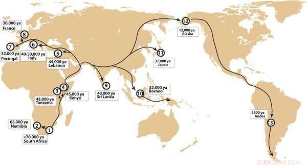 The Clovis Culture: How Early Humans Sparked Technological Advancement