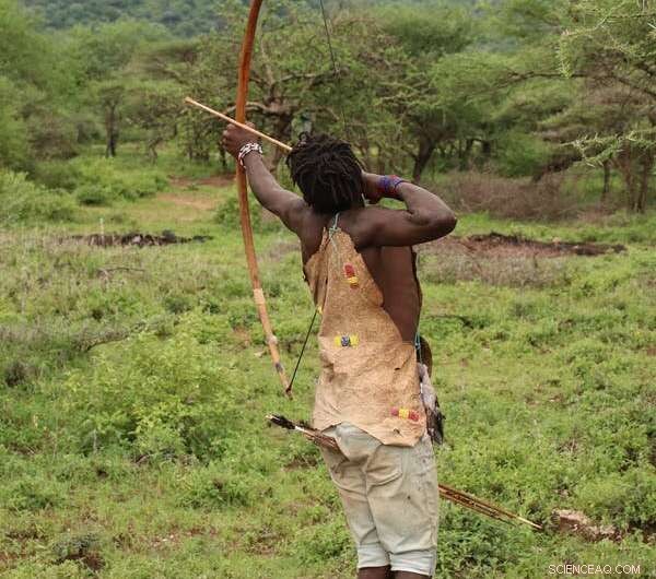 The Clovis Culture: How Early Humans Sparked Technological Advancement