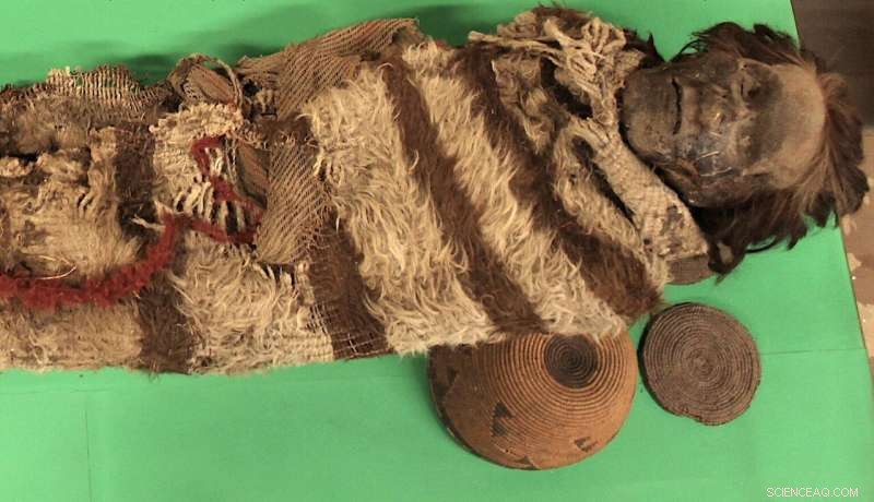 Ancient Mummy DNA Reveals New Insights into South American Ancestry