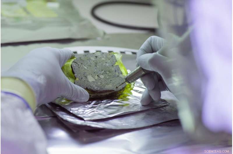 Ancient DNA Preservation in Archaeological Sediments: A Deep Dive