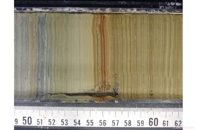 Homo Sapiens Migration: Tracing the Path Out of Africa