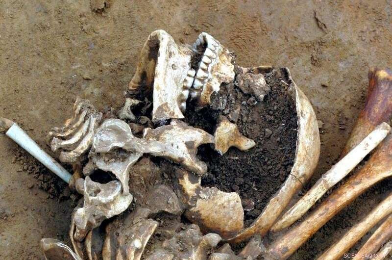 Ancient Britain Migration: Genetic Insights into Language, Ancestry & Milk