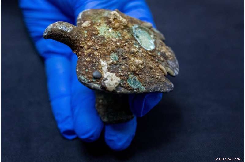 Ancient Shipwrecks Yield Roman and Mamluk Treasures Off Israel Coast
