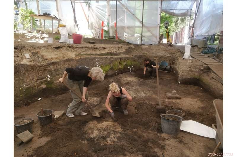 Viking Age Trade Routes: New Insights from Ribe Excavations