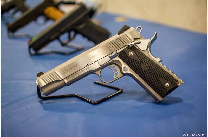 US Gun Ownership Surges: A Study on New Gun Owners and Potential Risks