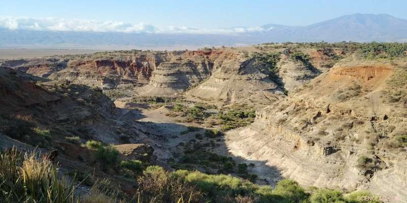 Ancient Ostrich Egg Beads Uncover 50,000-Year-Old Social Connections in Africa