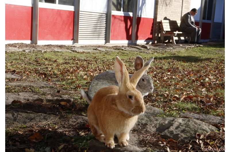 Therapy-Based Programs Help Overwhelmed Students Thrive