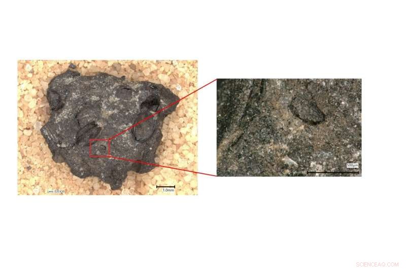 Ancient Millet Bread and Pulse Dough Discovered in South India