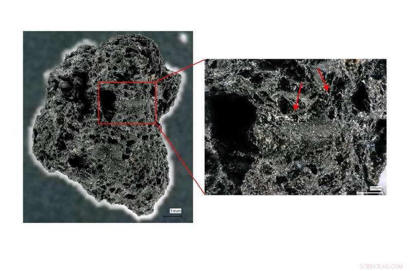 Ancient Millet Bread and Pulse Dough Discovered in South India
