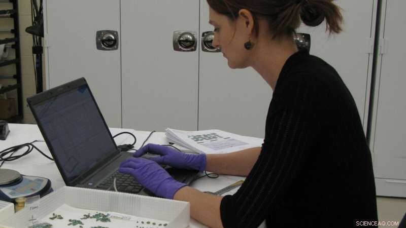 Human Adornment: A New Archaeological Perspective on Identity and Symbolism