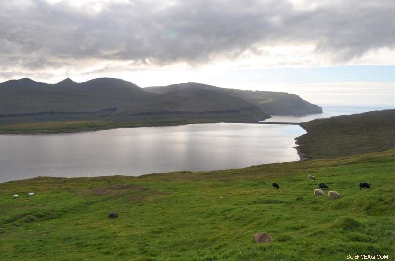 Ancient Inhabitants of the Faroe Islands: New Evidence of 500 AD Settlement