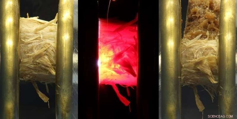 Forensic Science Investigates Fatal Lightning Strikes: Uncovering the Truth